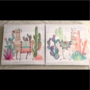 Super Cute Llama Pictures